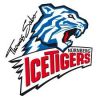 Nürnberg Ice Tigers