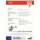Autogramm Fussball | VfB Stuttgart | 2006 | FRITZLE...