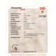 Autogramm Fussball | VfB Stuttgart | 2001 | Alexander HLEB