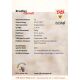 Autogramm Fussball | VfB Stuttgart | 2001 | Bradley CARNELL