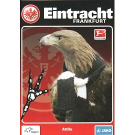 AK Fussball | Eintracht Frankfurt | 2011 | ATTILA (Maskottchen)