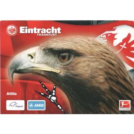 AK Fussball | Eintracht Frankfurt | 2010 | ATTILA (Maskottchen)