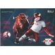 AK Fussball | RB Leipzig | 2018 | BULLI (Maskottchen)