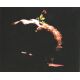 Autogramm Chanson | Celina MUZA | 2000er (Portrait Color)...