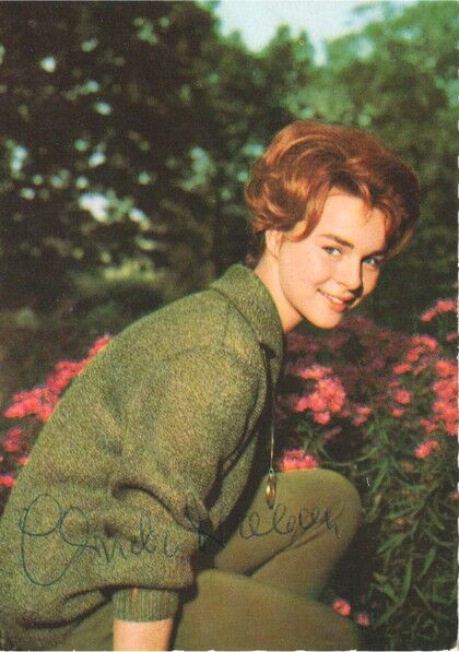 Autogramm Schauspieler | Cornelia FROBOESS | 1970er ((Portrait Color) Schneider