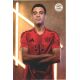 Autogramm Fussball | FC Bayern München | 2024 Druck...