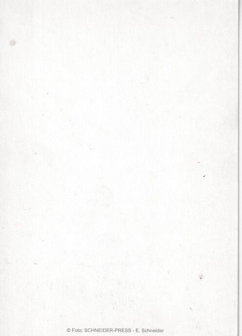 Autogramm Schauspieler | Sigmar SOLBACH | 2000er (Portrait Color) Schneider