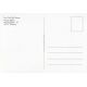 Autogramm Schauspieler | Ralf BAUER | 2000er (Portrait...