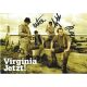 Autogramme Pop | VIRGINIA JETZT! | 2004...