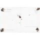 Autogramm Film | Peer SCHMIDT | 1955...