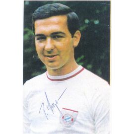 Autogramm Fussball | FC Bayern München | 1960er | Peter STEGMANN (Portrait Color)