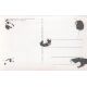 Autogramm Film | Claus BIEDERSTAEDT | 1954 "Sonne...
