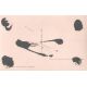 Autogramm Film | Paul HARTMANN | 1951 "Dame In...