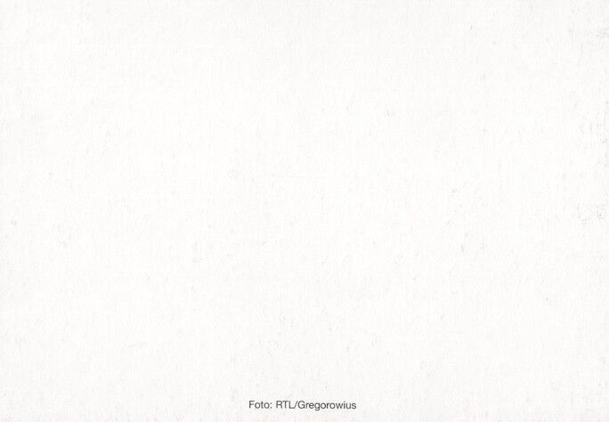 Autogramm TV | RTL | Bernd STELTER | 1990er (Portrait Color Gregorowius)