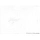 Autogramm TV | SAT1 | Bernhard KUHNT | 2000er (Portrait...