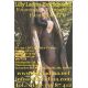 Autogramm Erotik | LILLY LADINA | 2010er (Portrait Color)