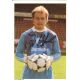 Autogramm Fussball | Eintracht Braunschweig | 1987 |...