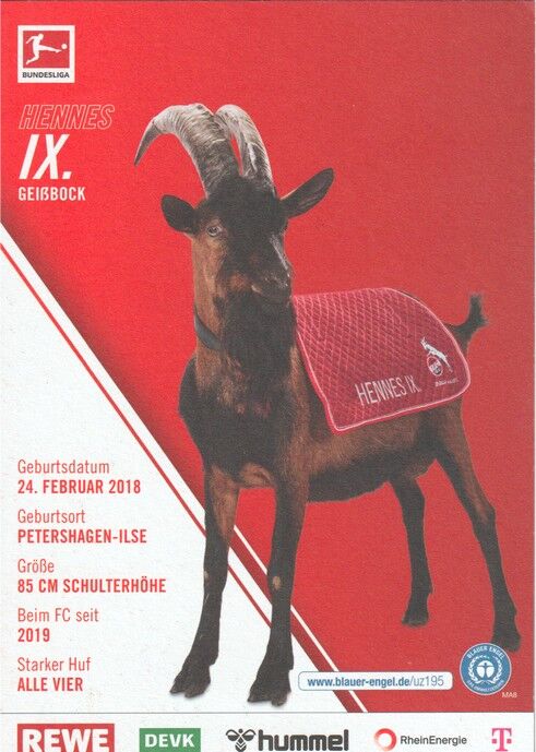 AK Fussball | 1. FC Köln | 2022 | HENNES IX. (Maskottchen)