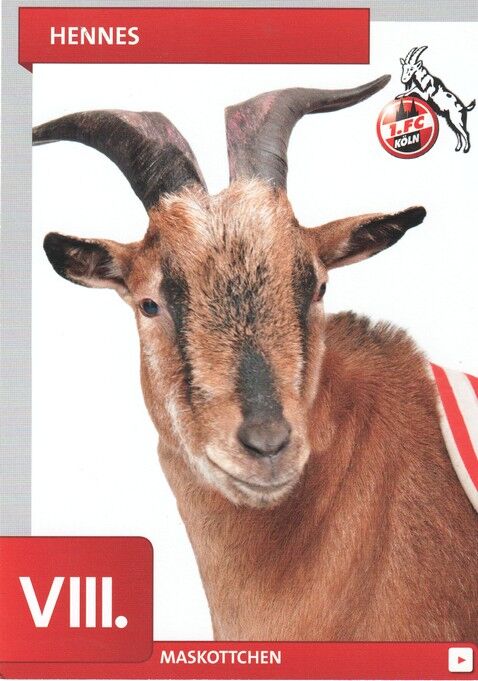 AK Fussball | 1. FC Köln | 2011 | HENNES VIII. (Maskottchen)