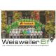 Autogramm Fussball | Borussia Mönchengladbach |...