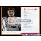 Autogramm Fussball | FC Bayern München | 2006 |...