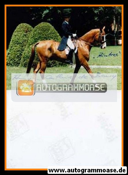 Autogramm Reiten | Amy-Catherine DE BARY | 1990er Foto (Pferd)