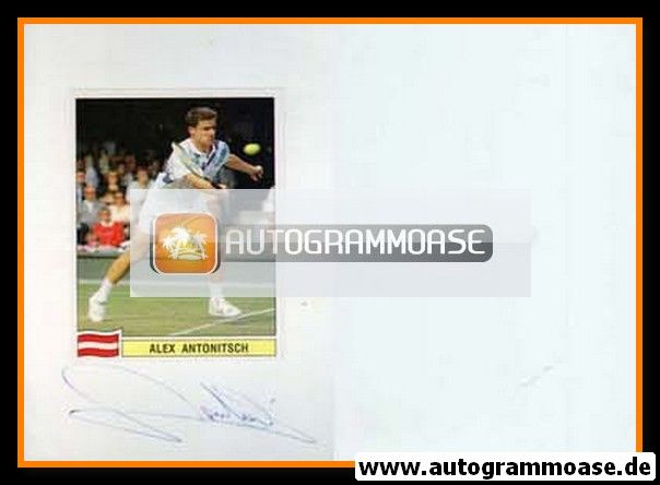 Autogramm Tennis | Alexander ANTONITSCH | 1990er (Sabi)