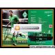 Autogramm Fussball | SV Werder Bremen | 2011 | Denni AVDIC