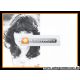 Autogramm Schauspieler | Iris BERBEN | 1980er (Portrait SW)