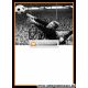 Autogramm Fussball | DFB | 1960er | Sepp MAIER...