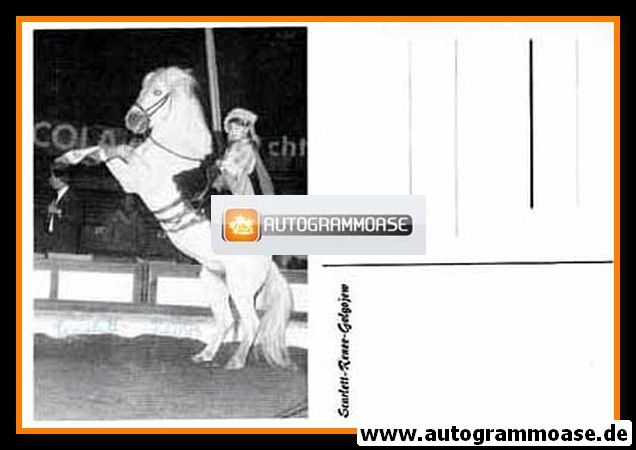 Autogramm Zirkus | Scarlett Renee GOLGOJEW | 1970er (Pferd SW)