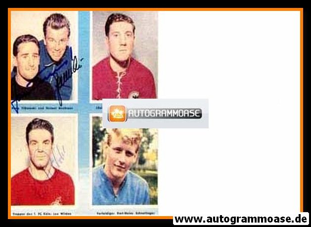 Autogramme Fussball | DFB | 1950er Foto | COLLAGE + 3 AG (Tilkowski, Benthaus, Wilden)