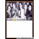 Autogramme Fussball | DFB | 1950er Foto | COLLAGE + 3 AG...