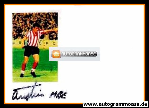 Autogramm Fussball | FC Southampton | 1960er Foto | Terry PAINE (Portrait Color) _