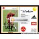 Autogramm Fussball | 1. FC Nürnberg | 1999 | Markus...