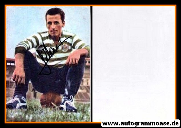 Autogramm Fussball | Eintracht Frankfurt | 1959 Foto | Istvan SZTANI (Portrait Color) 1