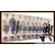 Mannschaftsfoto Fussball | DFB | 1956 + 5 AG (Eckel,...
