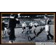 Autogramme Fussball | DFB + Jugoslawien | 1952 Foto |...