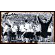 Autogramme Fussball | DFB | 1962 WM Foto | 3 AG (Erhardt,...