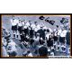 Mannschaftsfoto Fussball | DFB | 1958 WM + 6 AG (CSSR)