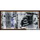 Autogramme Fussball | DFB | 1954 WM Foto | 6 AG (Ehrung...