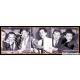 Autogramme Fussball | DFB | 1950er Foto | 3 AG (Erhardt,...