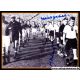 Autogramme Fussball | DFB | 1955 Foto | 4 AG (Biesinger,...