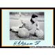 Autograph Fussball | Horst SZYMANIAK