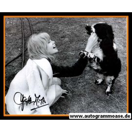 Autogramm Film (UK) | Hayley MILLS | 1970er Foto (Portrait SW mit Hund)
