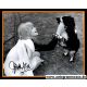 Autogramm Film (UK) | Hayley MILLS | 1970er Foto...