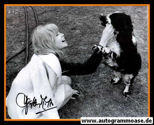 Autogramm Film (UK) | Hayley MILLS | 1970er Foto (Portrait SW mit Hund)
