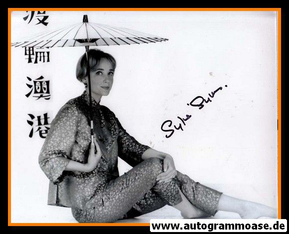 Autogramm Film (UK) | Sylvia SYMS | 1960er Foto (Portrait SW)