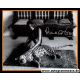 Autogramm Film (USA) | Lana WOOD | 1970er Foto (Portrait...