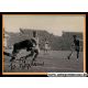 Autogramm Fussball | VfB Stuttgart | 1952 Foto | Karl...